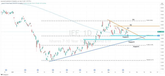 IEF technical chart