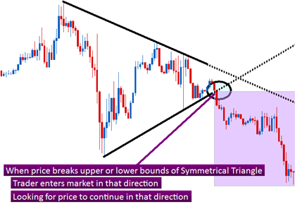 The Forex Trader's Guide to Price Action