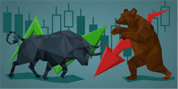 Bull Market PNG Transparent Images Free Download