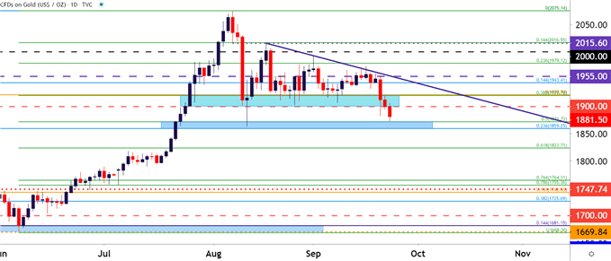 Gold Daily Price Chart