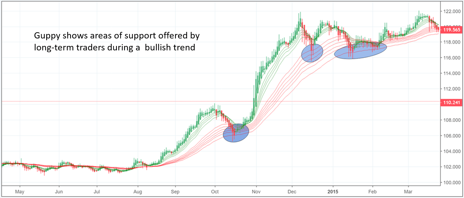 How To Easily Identify And Capture Market Trends Using Guppy | Nasdaq