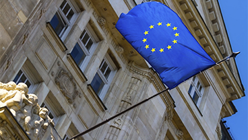 Forex Webinar: Euro-Zone PMIs Miss Expectations, Euro Steady