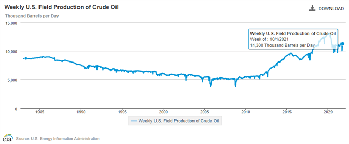 Oil Price Rally to Persist amid Tepid Recovery in US Crude Output