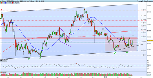 Bourse : net rebond des actions – Bitcoin : en forte hausse