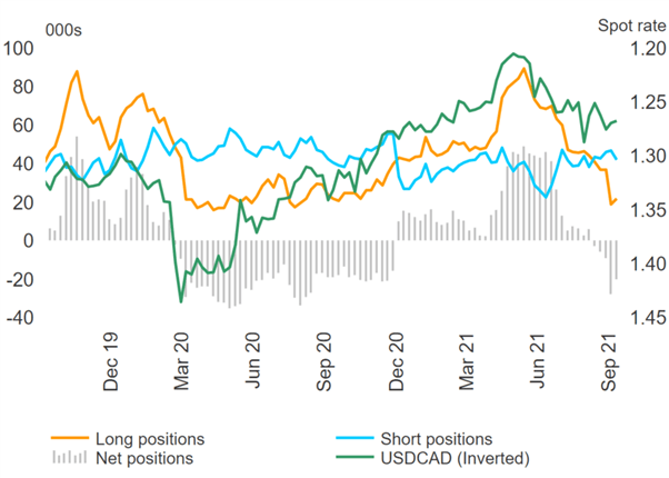 USD Buying Resumes, NZD Longs Stretched, CAD Shorts Reduced – COT Report