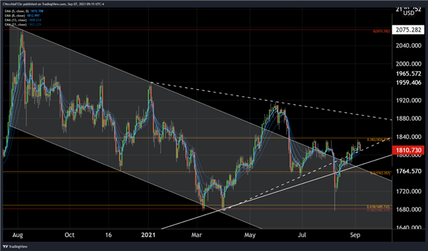 Is the US Dollar’s Death Greatly Exaggerated? – The Macro Setup