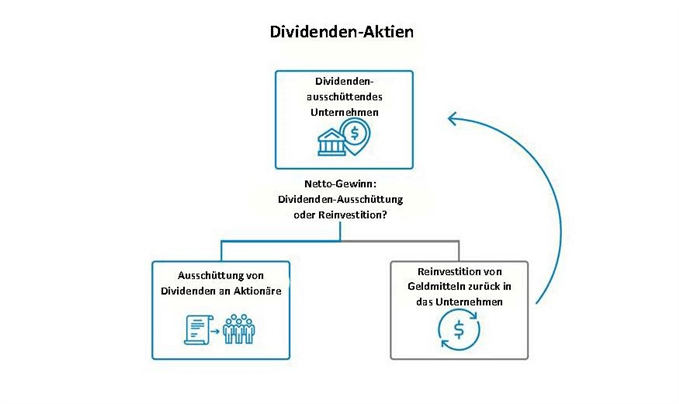 So funktionieren Dividenden