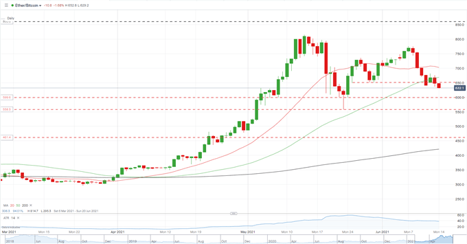 Bitcoin (BTC/USD) Rallies Towards $40,000 as Elon Musk Tweet Fuels Positive Sentiment