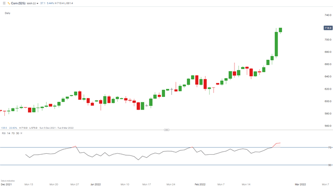 Corn daily chart