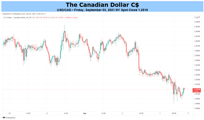 USD/CAD Chart