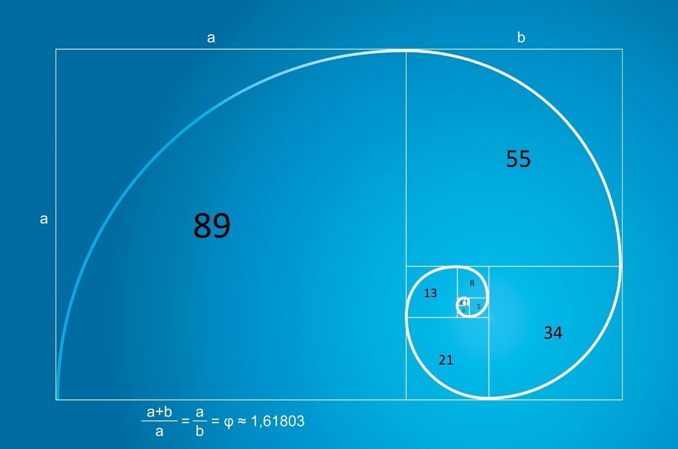 Fibonacci hình xoắn ốc