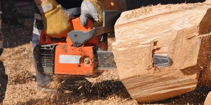 La madera talada como material básico