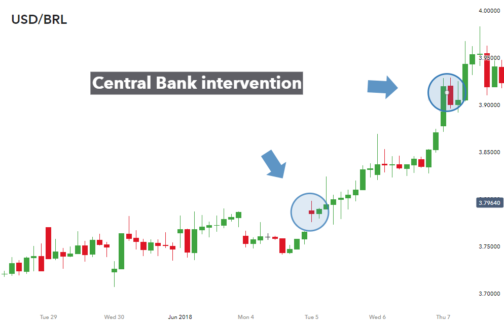 Forex central bank the best forex platform