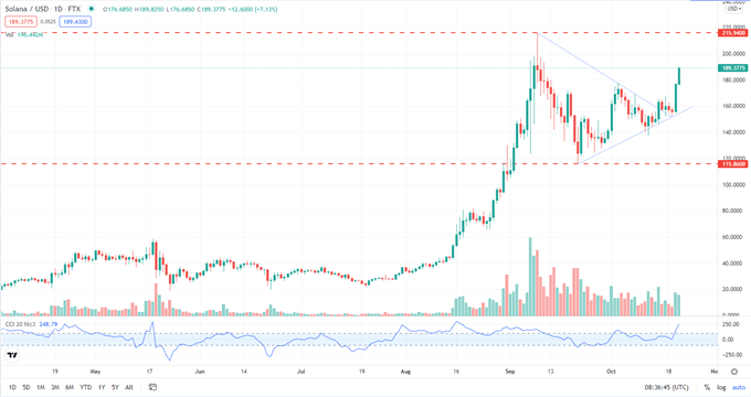 Bitcoin's All-Time High Sparks Life Into The Alt-Coin Market