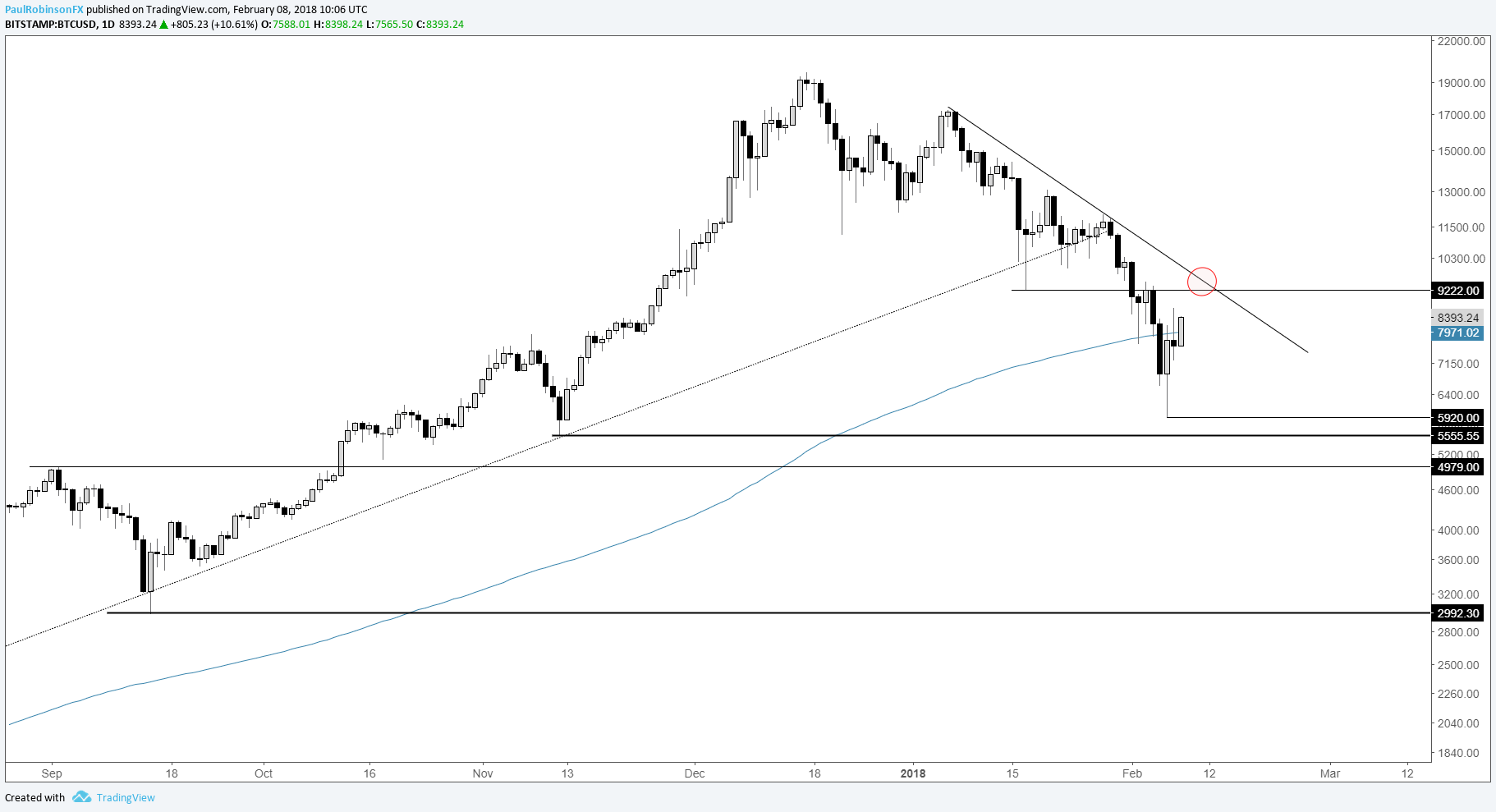 Bitcoin Daily Interest Chart