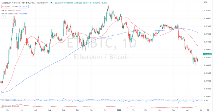 Биткойн (BTC/USD) Последние новости: мини-быки растут на медвежьем рынке