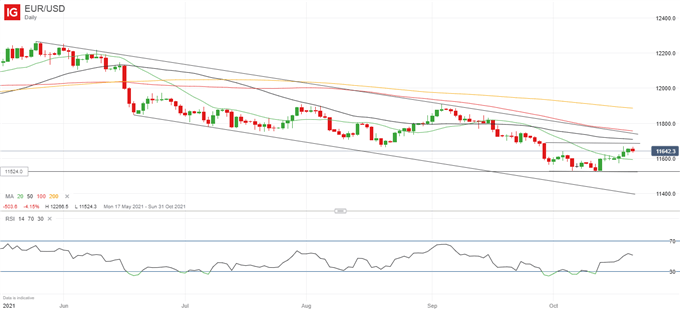 Euro Forecast: ECB Meeting Will Aim to Keep EUR/USD Stable, All Settings Unchanged