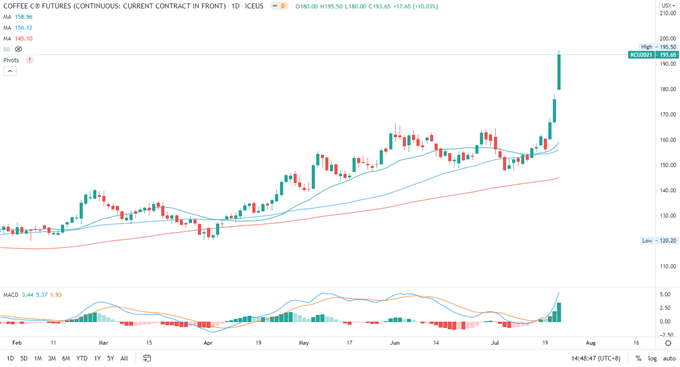 Coffee Prices at 6-Year High as Extreme Cold Weather Hits Brazil 