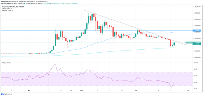 Bitcoin (BTC) Analysis: Dead Cat Bounce After Death Cross, or New Bull Market?