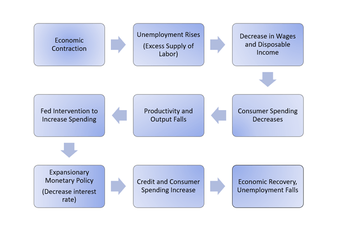 Economic cycle with expansionary monetary policy