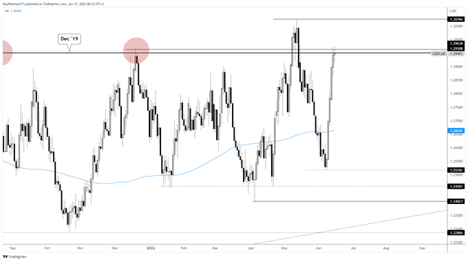 usd/cad daily chart