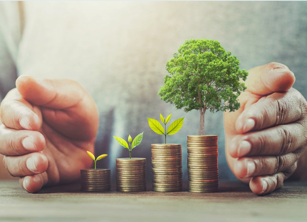 How to Make Money in a Bear Market: A Complete Guide | IG International