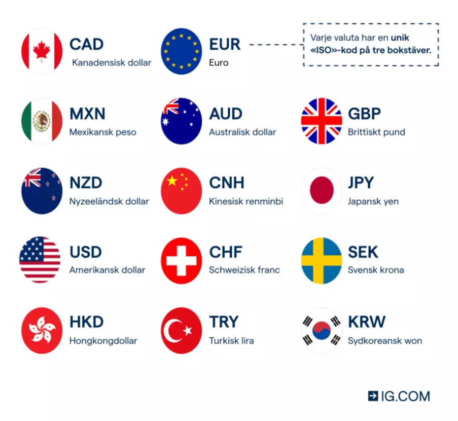 Grafik för valutahandel ISO