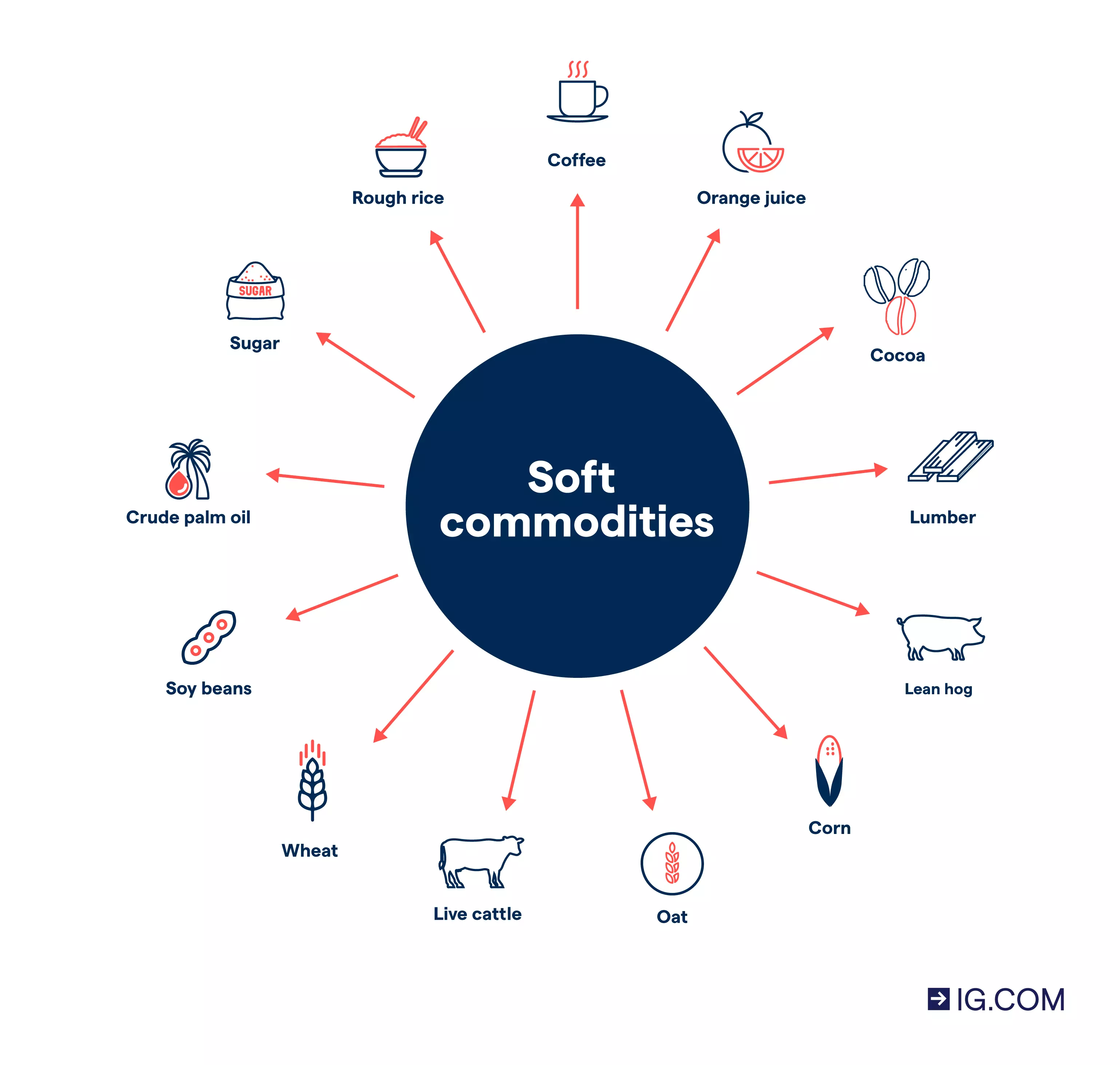 A mind map of various soft commodities, from the ones grown – cocoa, and rough rice, to the reared kind – like cattle and live hog, that you can trade or invest in.