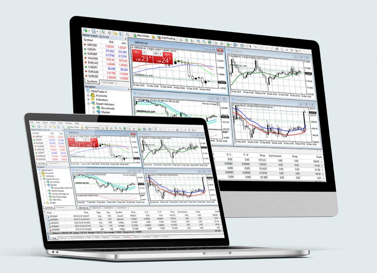 Where Can You Find Free Exness Trading Broker Resources