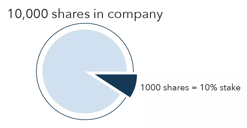What are shares?