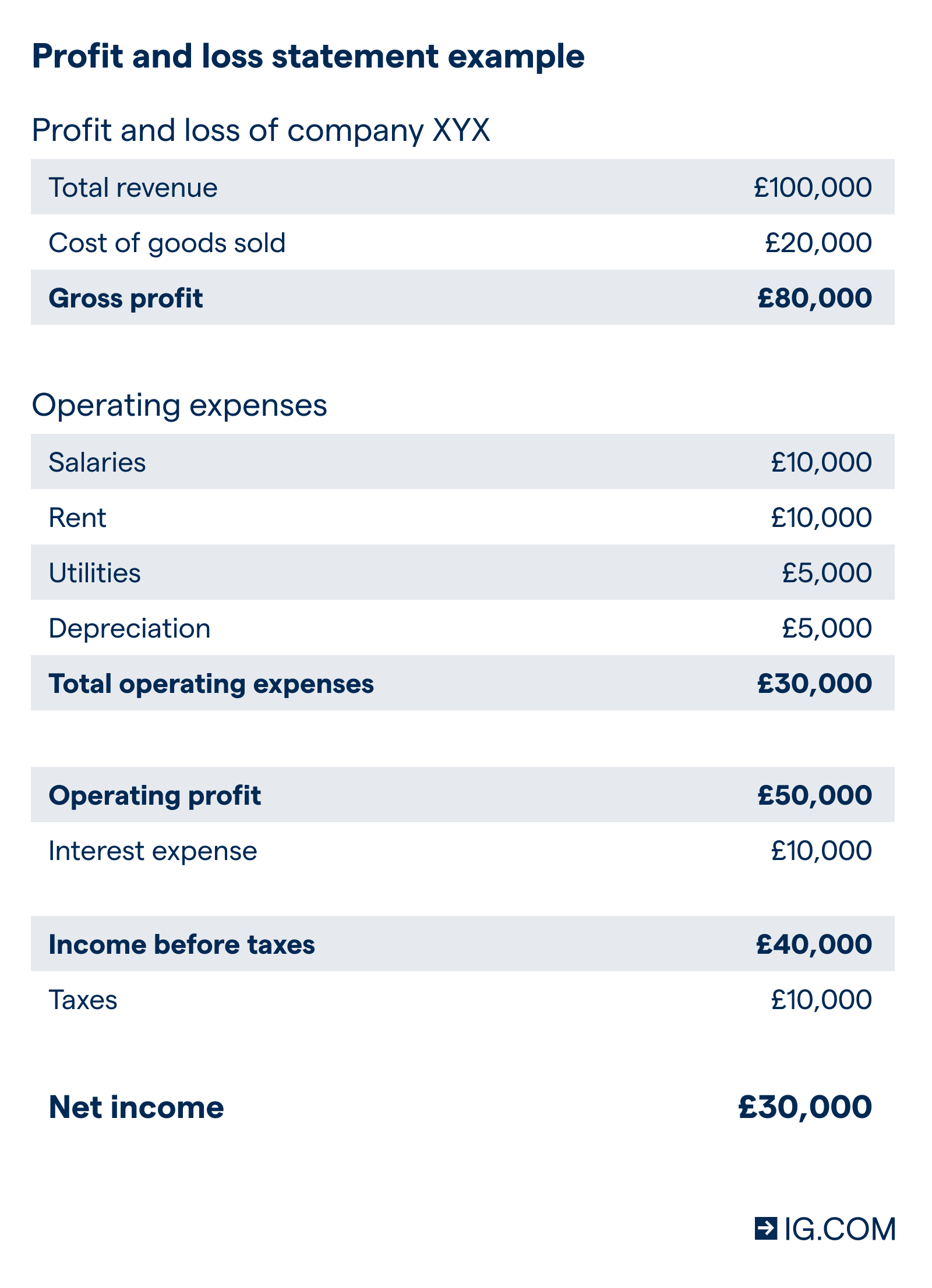 Profit and loss statement example