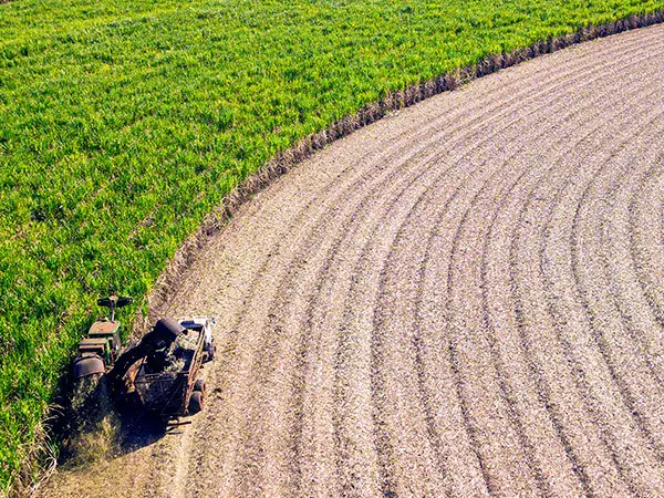 Combine harvester in ploughed field