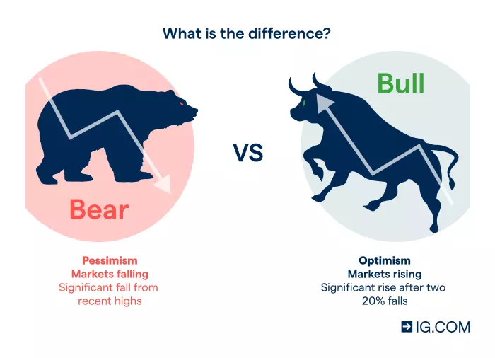 Graphic showing the difference between bear and bull markets and the main characteristics that define them.