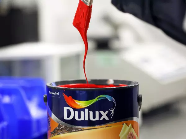Dulux half year results