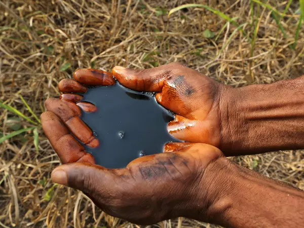Oil in hand image