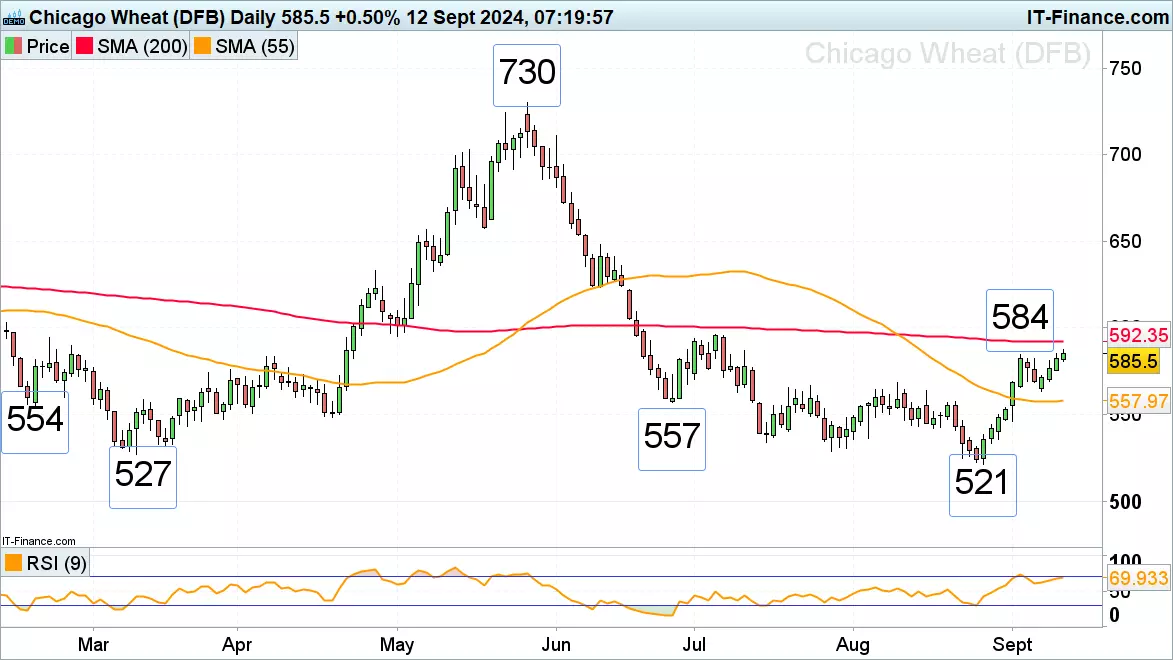 Chicago wheat daily chart