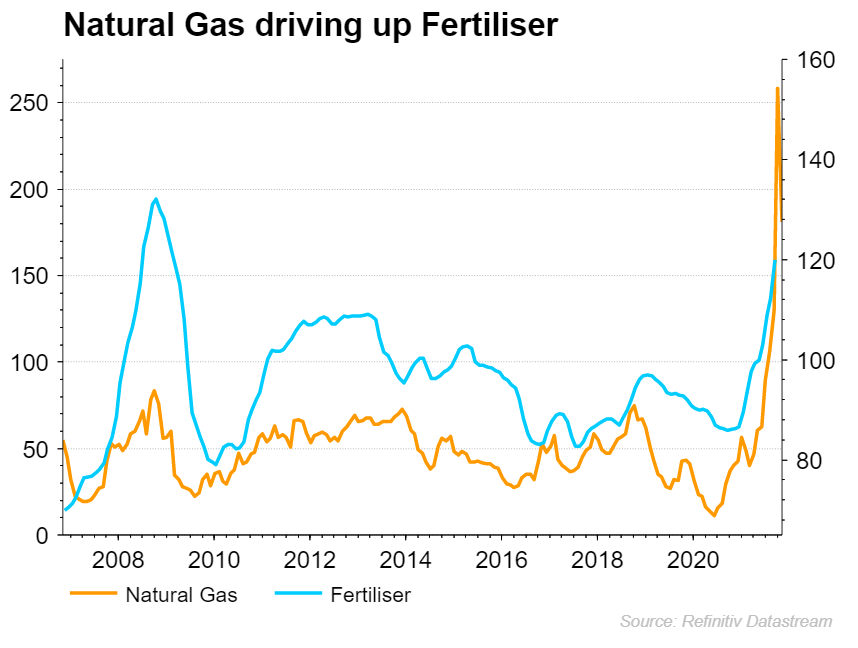 FERTILISER_VS_GAS_81121.png