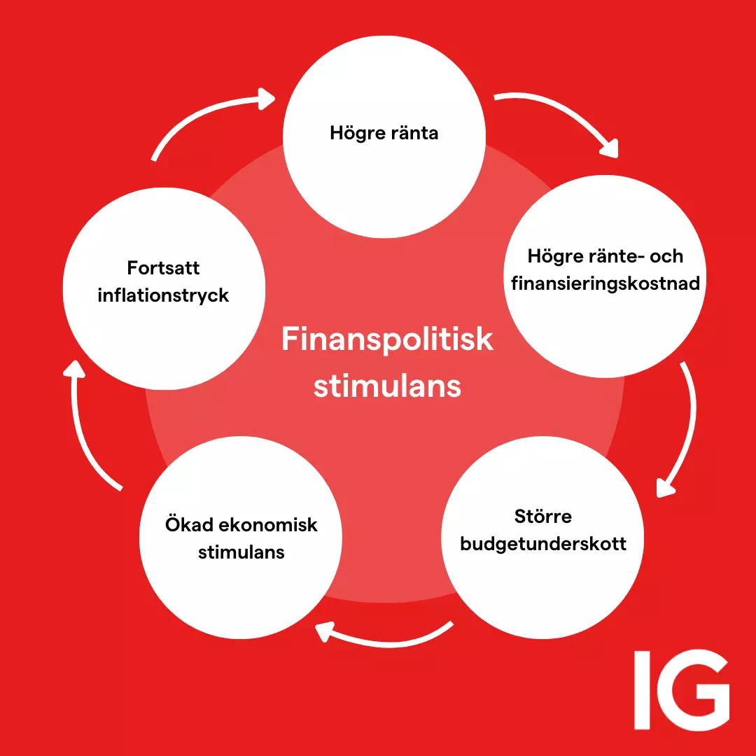 Finanspolitisk dominans