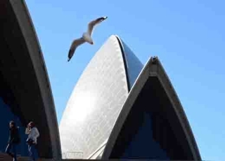 IG Spread betting and CFD Trading