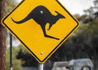 IG Spread betting and CFD Trading