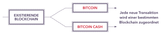 Bitcoin Cas!   h Versus Bitcoin Wie Ist Bitcoin Cash Einzigartig - 