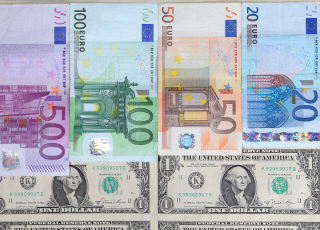 Euro and dollar notes