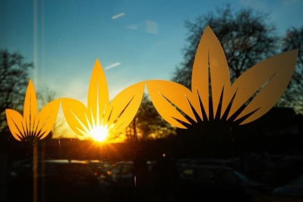 British American Tobacco Share Price What To Expect From Full Year Results Ig Bank Switzerland Shares in british american tobacco (lon:bats) are currently trading at 2737 but a key question for investors is how the economic uncertainty caused. british american tobacco share price