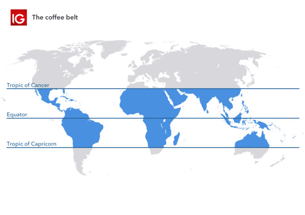 How to trade coffee | Learn to trade 