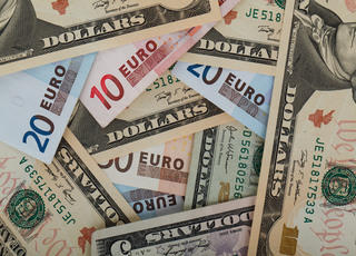 Euro and US dollar notes