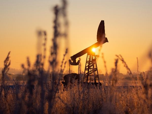 Pétrole