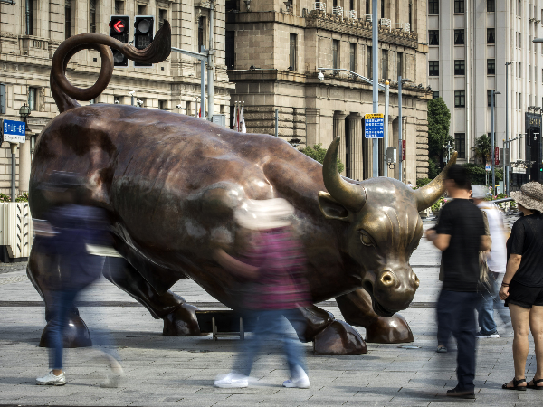 bull, market