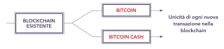 Bitcoin Cash Vs Bitcoin Unicita Del Bitcoin Cash Differenze - 