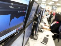 Svarta svanen-teorin: vad är en svart svan?